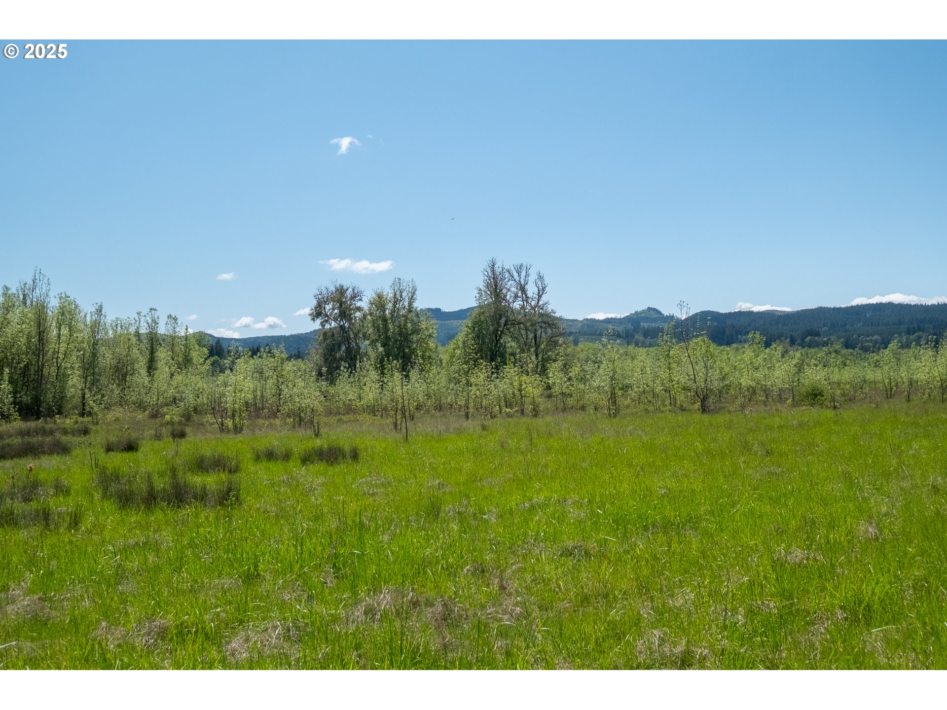 29055 Santiam Terrace Road Lebanon, OR 97355 - Photo 30 of 43 Gallery Image 30