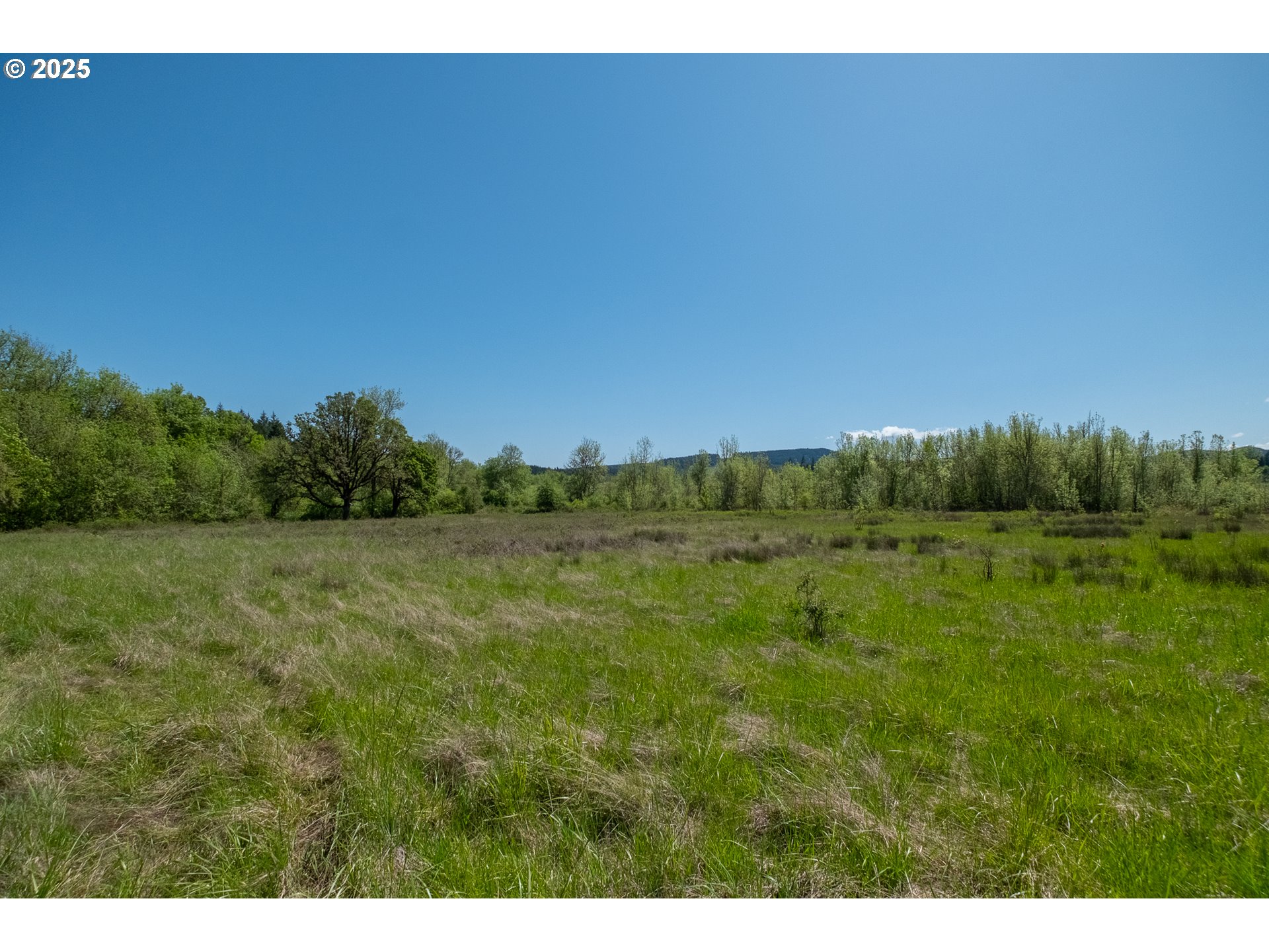 29055 Santiam Terrace Road Lebanon, OR 97355 - Photo 31 of 43 Gallery Image 31