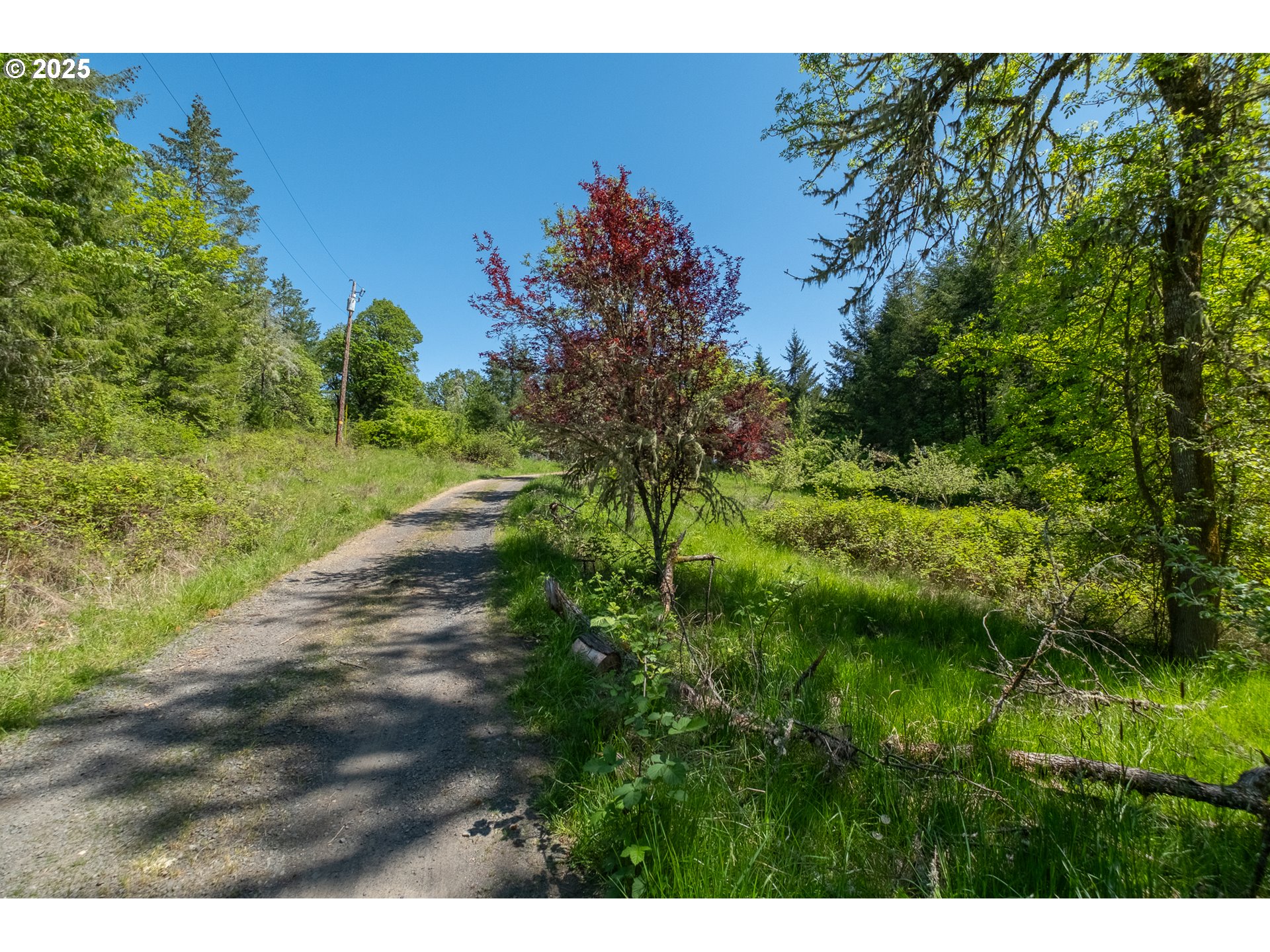 29055 Santiam Terrace Road Lebanon, OR 97355 - Photo 36 of 43 Gallery Image 36