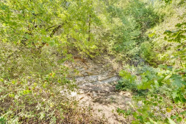 a view of a tree with a background
