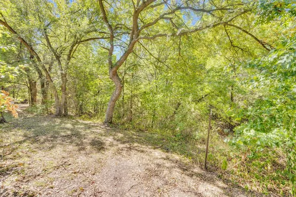 a view of a yard with a tree