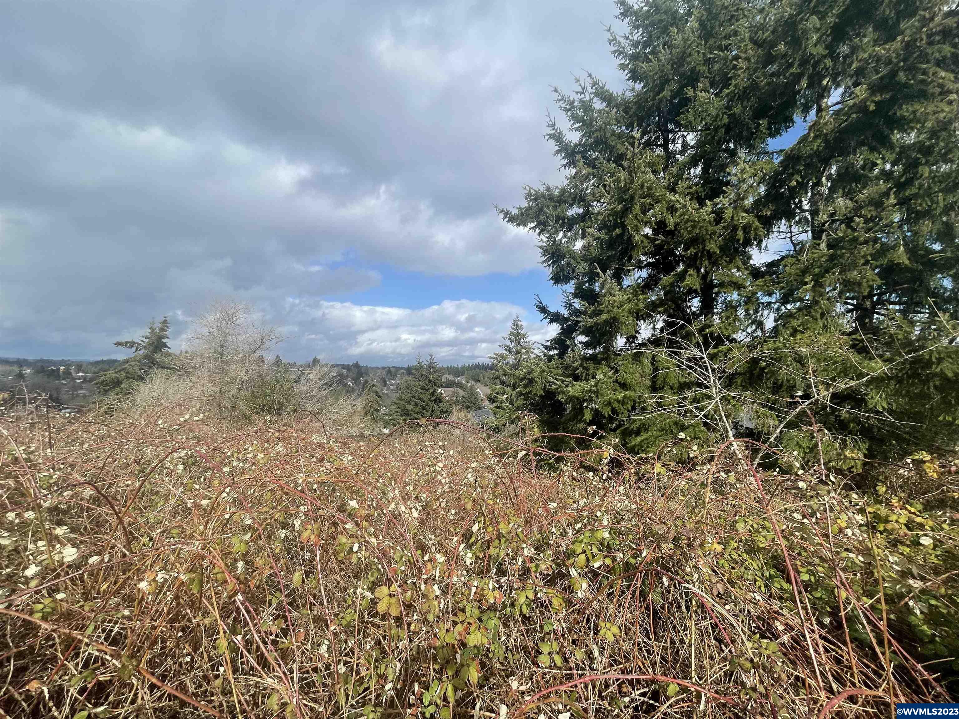 1396 Davis Road South Salem, OR 97306 - Photo 5 of 10