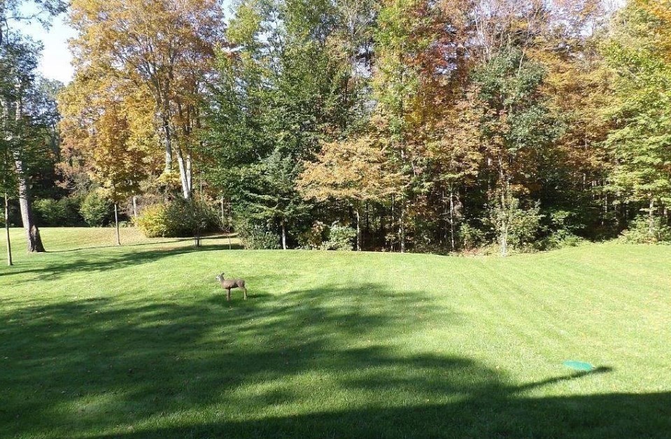 304 Dalton Division Road Pittsfield, MA 01201 - Photo 34 of 42 Gallery Image 34