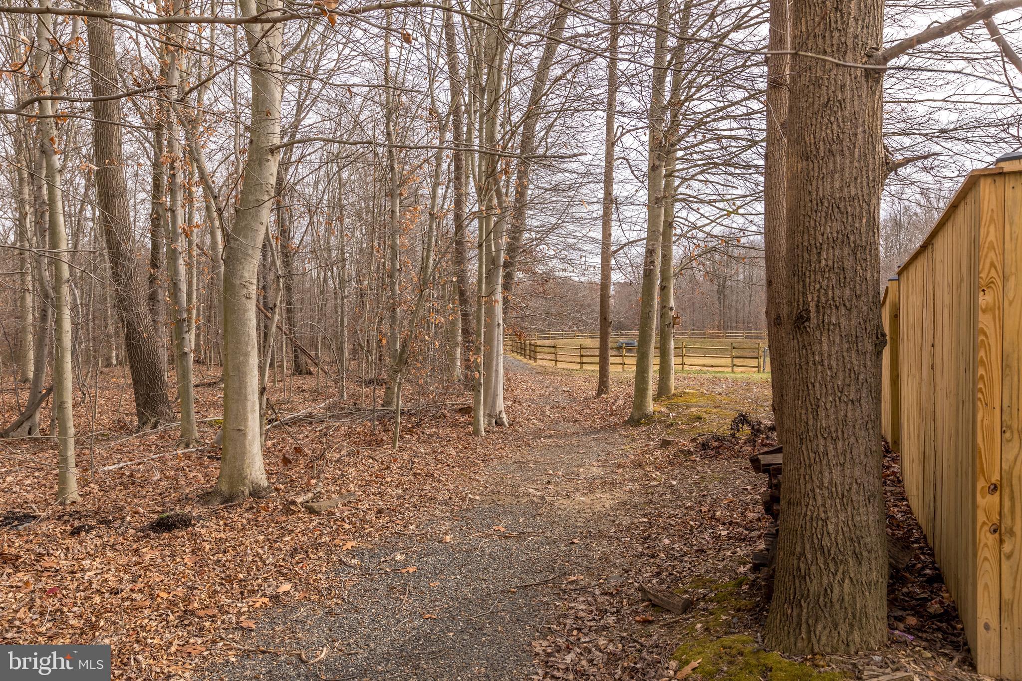 5035 Woods Line Drive, Unit 18 Aberdeen, MD 21001 - Photo 28 of 30 Walking trail