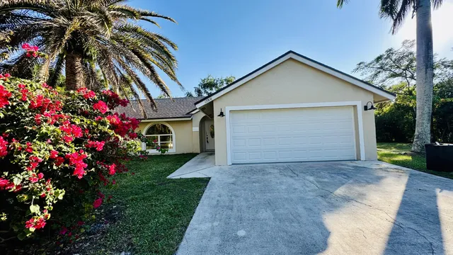 a view of a house with a small yard plants and a large tree