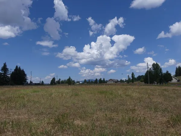 $265,000 | Lot 1 Springer Court, Unit 1, McCall, ID 83638