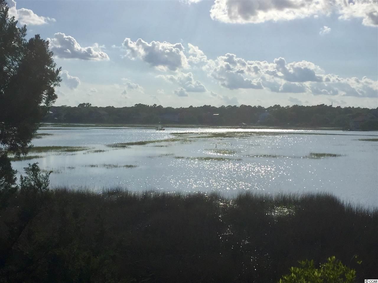 300 Inlet Point Drive Pawleys Island, SC 29585 - Photo 35 of 40 Gallery Image 35