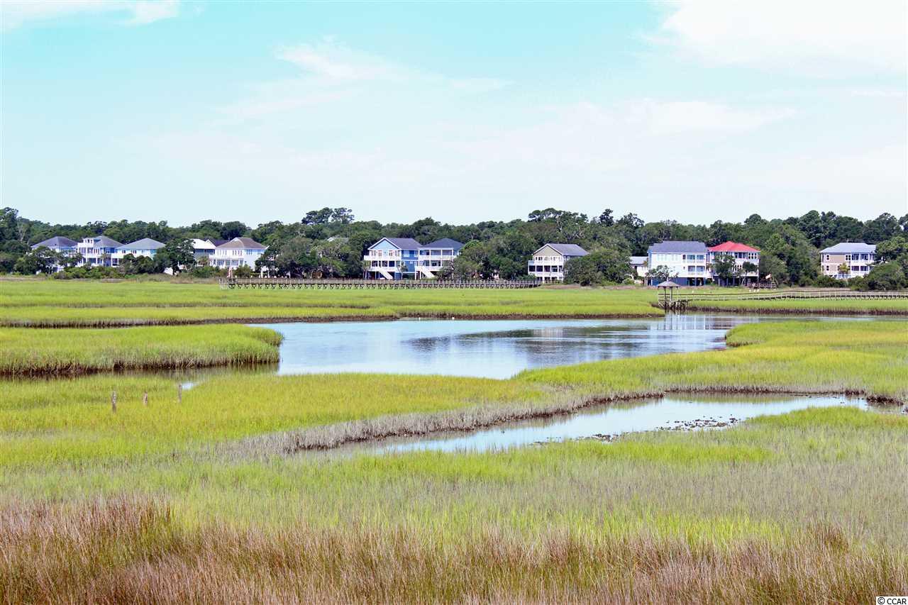 300 Inlet Point Drive Pawleys Island, SC 29585 - Photo 36 of 40 Gallery Image 36