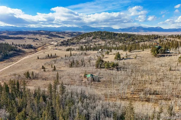 a view of a garden with an outdoor space