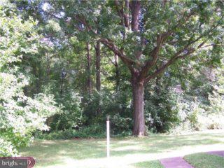 974 Williamson Road Horsham, PA 19044 - Photo 5 of 5 Gallery Image 5