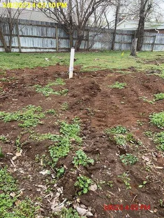 a backyard of a house with a yard and large trees