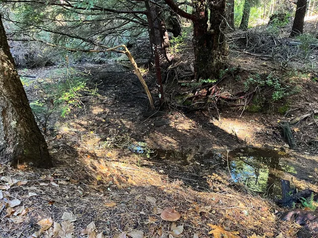 $75,000 | 18035 Mobley Springs Road, Nevada City, CA 95959