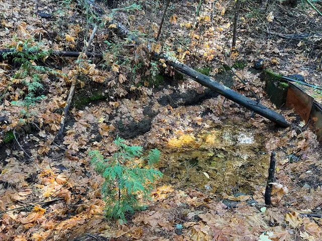 $75,000 | 18035 Mobley Springs Road, Nevada City, CA 95959