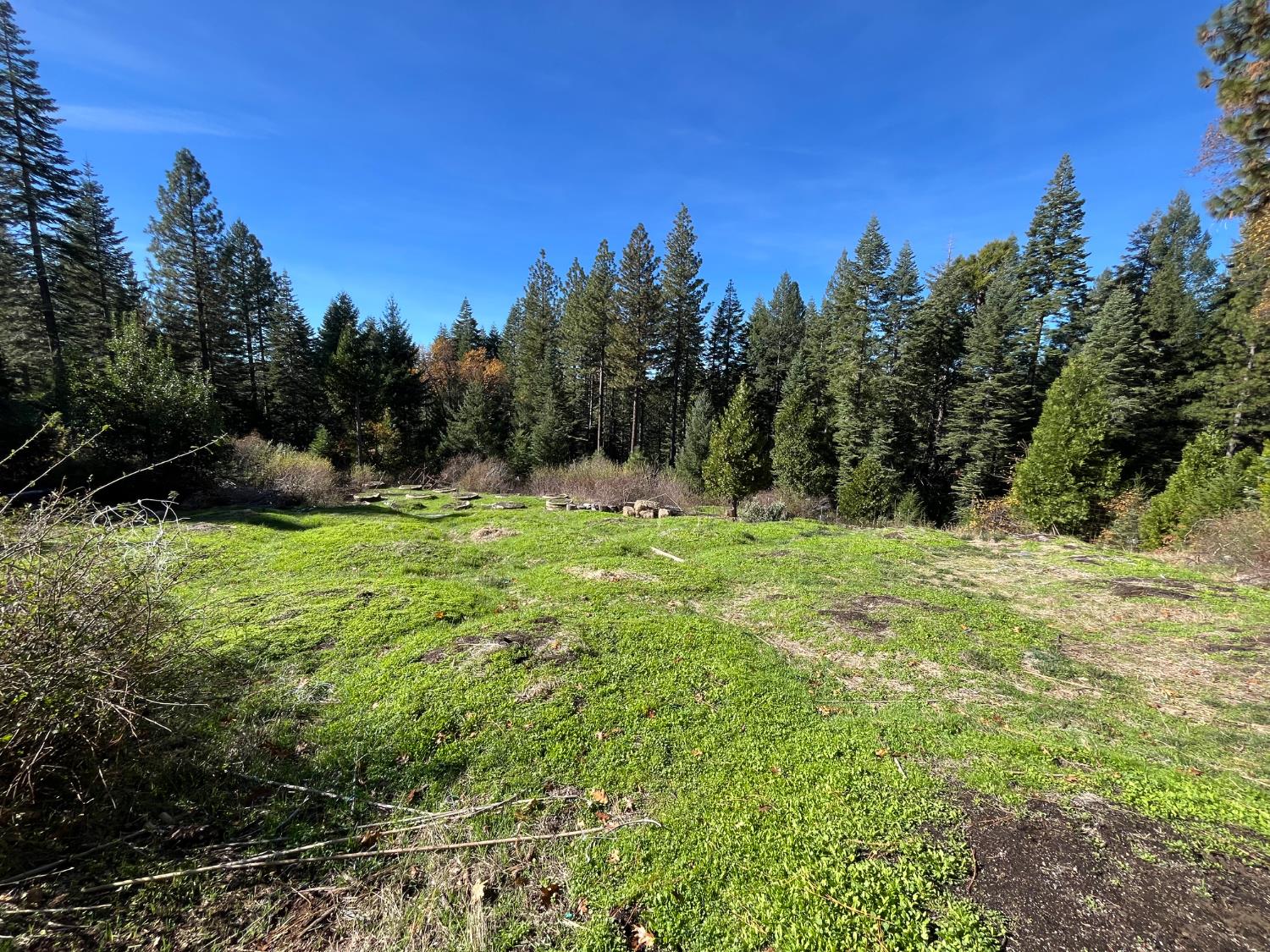 18035 Mobley Springs Road Nevada City, CA 95959 - Photo 16 of 50 a view of outdoor space with green field and trees all around