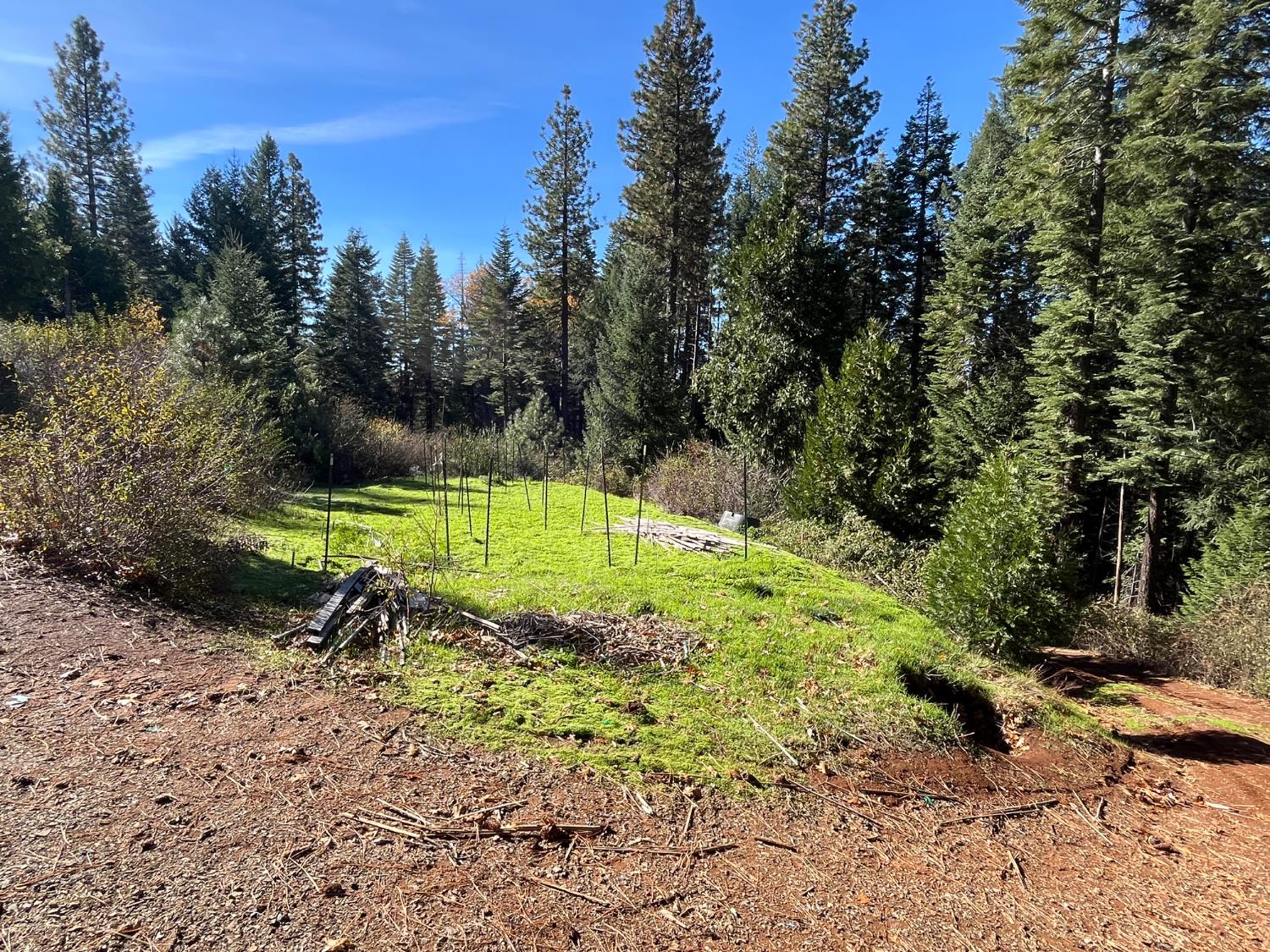 18035 Mobley Springs Road Nevada City, CA 95959 - Photo 20 of 50 a view of a park with large trees