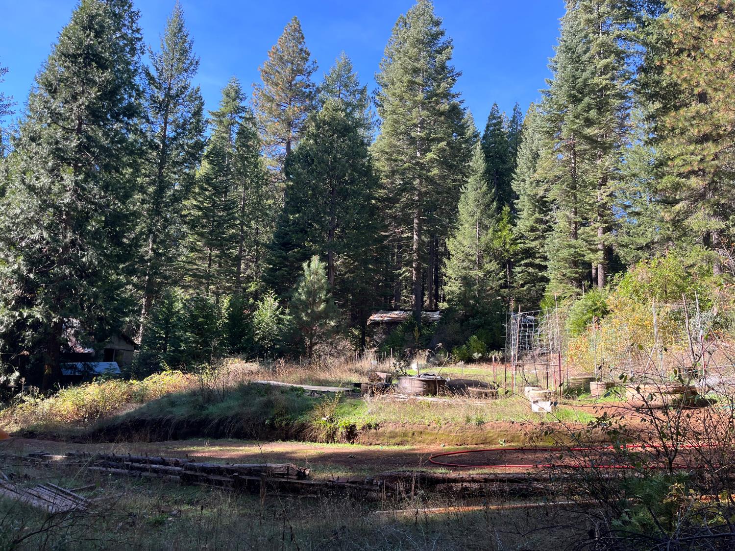 18035 Mobley Springs Road Nevada City, CA 95959 - Photo 24 of 50 a view of lake with trees