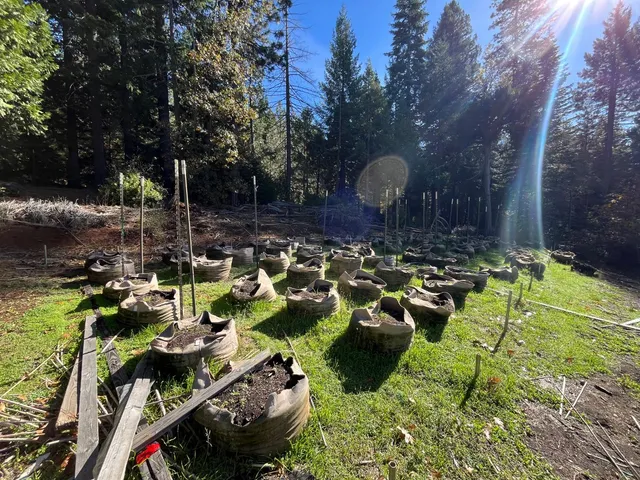 $75,000 | 18035 Mobley Springs Road, Nevada City, CA 95959