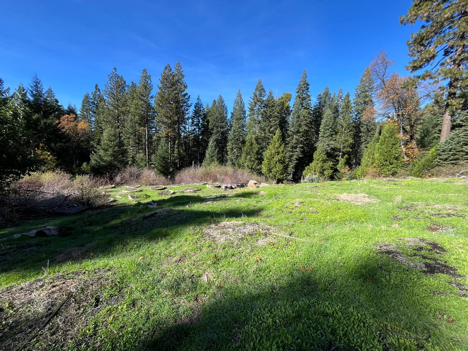 18035 Mobley Springs Road Nevada City, CA 95959 - Photo 26 of 50 a view of a golf course with a lake