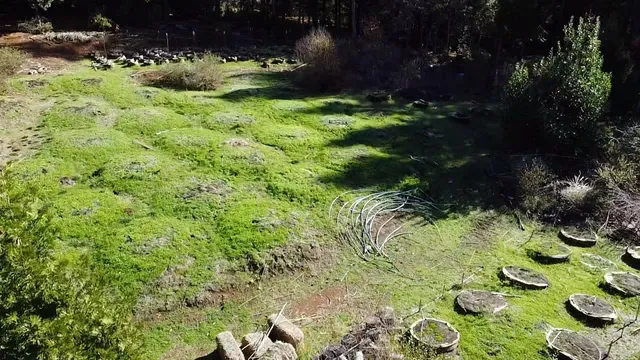 $75,000 | 18035 Mobley Springs Road, Nevada City, CA 95959