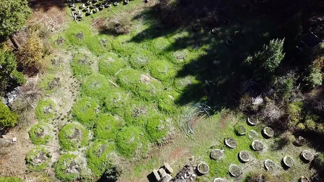 $75,000 | 18035 Mobley Springs Road, Nevada City, CA 95959