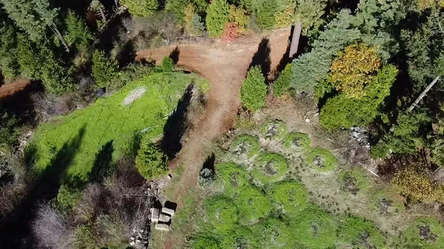 $75,000 | 18035 Mobley Springs Road, Nevada City, CA 95959