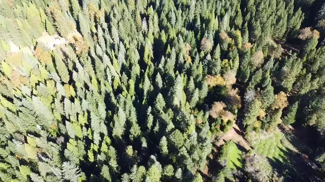 $75,000 | 18035 Mobley Springs Road, Nevada City, CA 95959