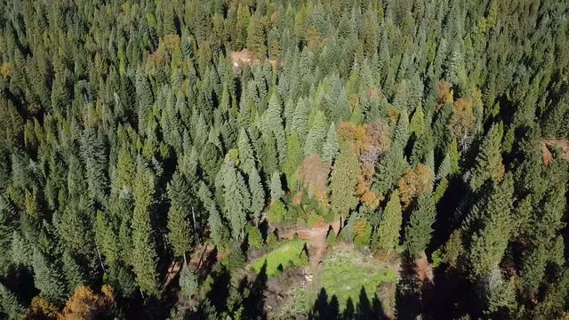 $75,000 | 18035 Mobley Springs Road, Nevada City, CA 95959