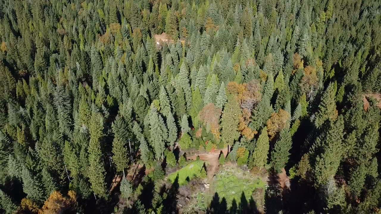 18035 Mobley Springs Road Nevada City, CA 95959 - Photo 35 of 50 a view of a yard