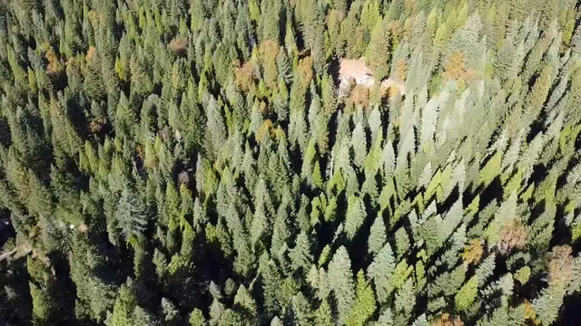 $75,000 | 18035 Mobley Springs Road, Nevada City, CA 95959