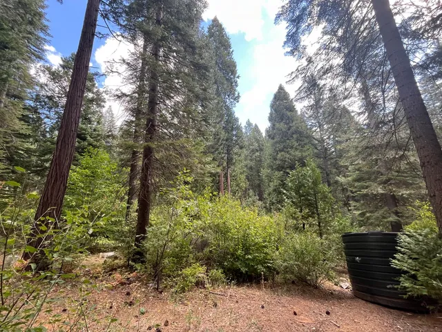 $75,000 | 18035 Mobley Springs Road, Nevada City, CA 95959
