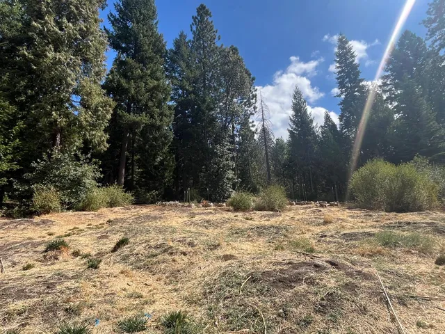 $75,000 | 18035 Mobley Springs Road, Nevada City, CA 95959