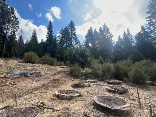 $75,000 | 18035 Mobley Springs Road, Nevada City, CA 95959