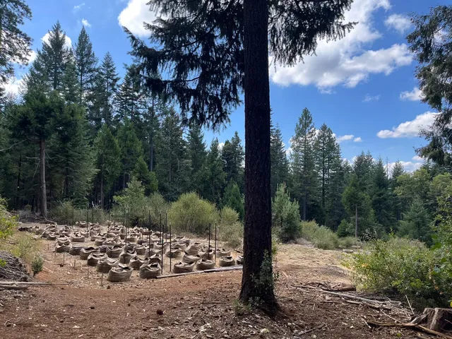 $75,000 | 18035 Mobley Springs Road, Nevada City, CA 95959