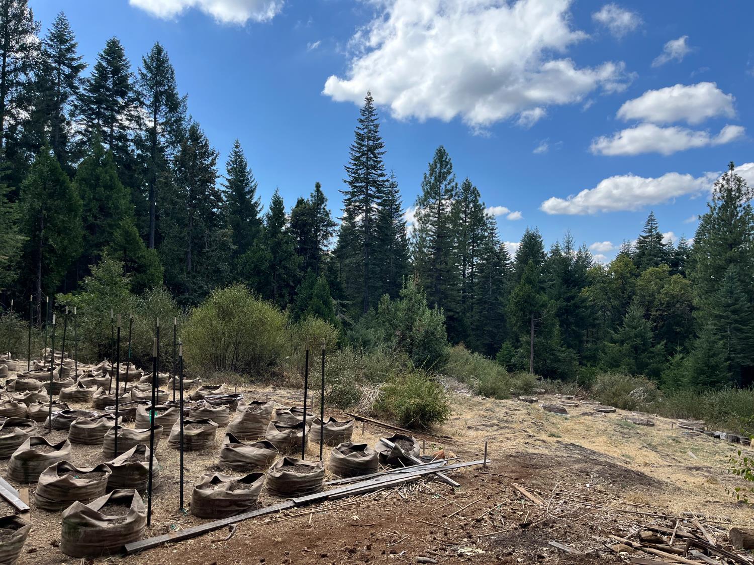 18035 Mobley Springs Road Nevada City, CA 95959 - Photo 50 of 50 a view of a street