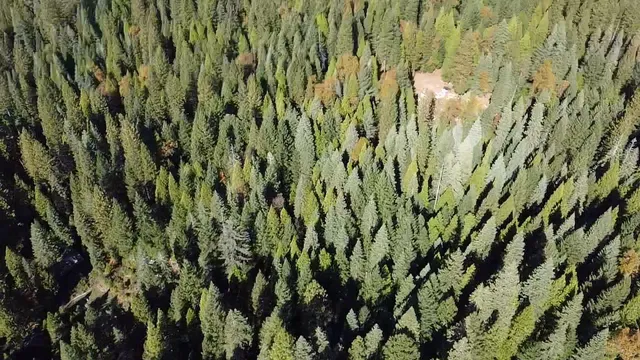 $75,000 | 18035 Mobley Springs Road, Nevada City, CA 95959