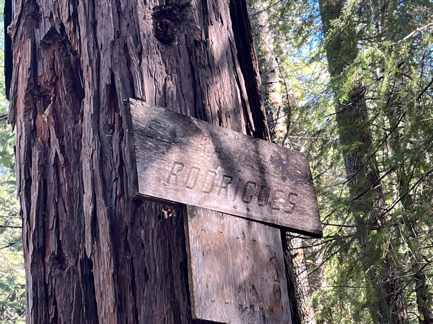 18035 Mobley Springs Road Nevada City, CA 95959 - Photo 6 of 50 a view of a wooden fence and a tree