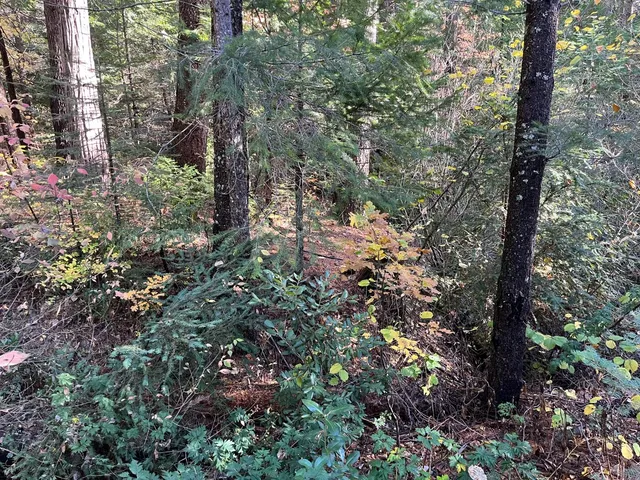 $75,000 | 18035 Mobley Springs Road, Nevada City, CA 95959