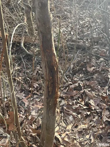 $651,700 | 0 East Beal Road, Mount Vernon, IL 62864