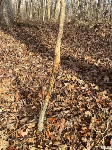 $651,700 | 0 East Beal Road, Mount Vernon, IL 62864