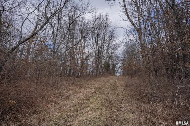 $651,700 | 0 East Beal Road, Mount Vernon, IL 62864