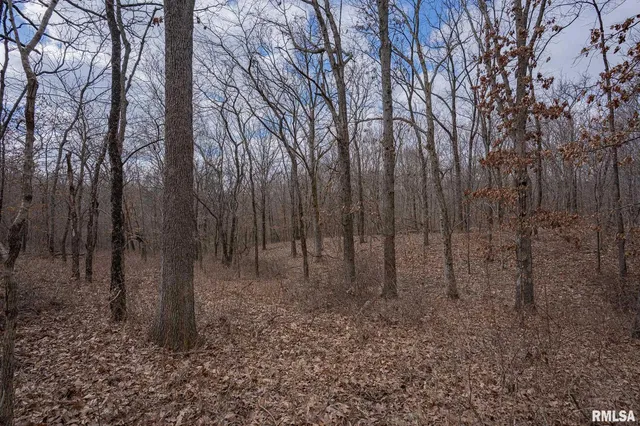 $651,700 | 0 East Beal Road, Mount Vernon, IL 62864