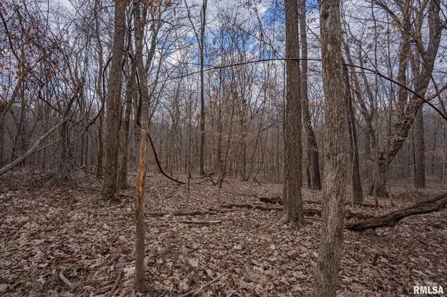 $651,700 | 0 East Beal Road, Mount Vernon, IL 62864