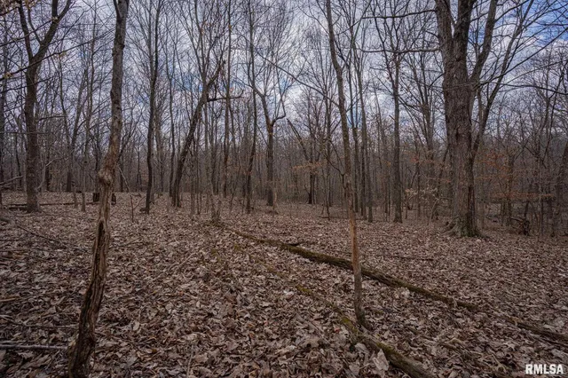 $651,700 | 0 East Beal Road, Mount Vernon, IL 62864