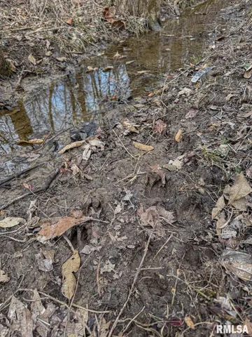 $651,700 | 0 East Beal Road, Mount Vernon, IL 62864