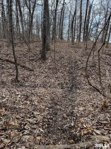 $651,700 | 0 East Beal Road, Mount Vernon, IL 62864