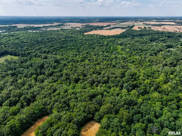 $651,700 | 0 East Beal Road, Mount Vernon, IL 62864