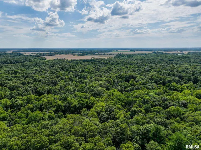 $651,700 | 0 East Beal Road, Mount Vernon, IL 62864