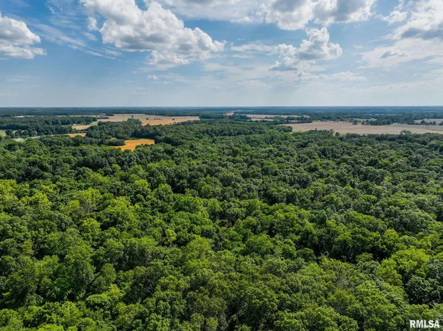 $651,700 | 0 East Beal Road, Mount Vernon, IL 62864