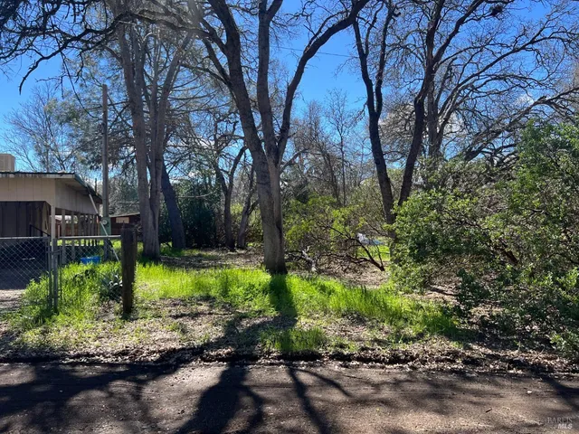 a view of a garden with plants
