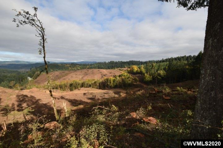 1 Northwest Olson Road Gaston, OR 97119 - Photo 1 of 8